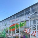 보틀그린 | 안산 대부도 그린티플 내돈내산 후기｜감자캐기·보틀케이크까지 가성비 최고