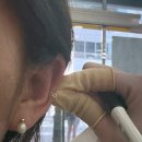 랑랑헤어 | [대구 북구] 대구 칠곡 3지구 피어싱 잘하는 곳 | 랑랑 피어싱 칠곡점 대만족 후기