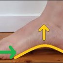 근육 연구소 이미지