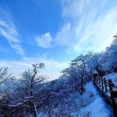 천년숲서로(서) 이미지