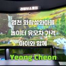 영천한우마을 | 영천 화랑설화마을 키즈카페 놀이터