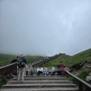 백두산화원 | 7월 백두산 패키지 여행_2 (백두산 서파/고산화원)
