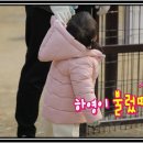 연우목장 이미지