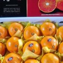 만나농장 이미지