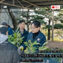 서귀포시청2청사 앞 | 탄소중립 숲을 위한 첫걸음, 서귀포 나무 나눠주기 행사 및 서귀포시 산림조합 방문기