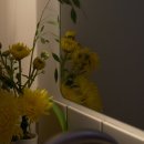 스테이 월화 이미지