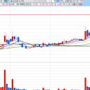 대성산업가스 반월공장 이미지