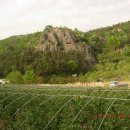 장보고횟집 이미지