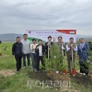 희망나무심기5 이미지