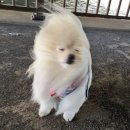 용남해안길 | (2017.04.30) 용띠클럽 제주도를 가다!!~ 세번째날