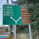 보길해그림펜션 이미지