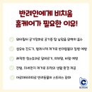 수원 용인｜매트리스 진드기 청소 &#39;비치움필승 스마트홈케어&#39; 실제 후기 / 육아, 반려견 키우는 집 필수