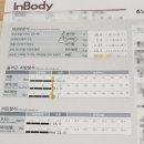 여름맞이 다이어트 예산체형관리 벨라뷰티 셀포랩 슬리밍 프로그램 받은 후기