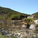 쉴만한물가 민박 이미지