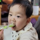 세찬한우