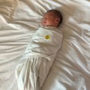 더 궁 산후조리원 | 천국같은 조리원 1 (궁 산후조리원 후기)