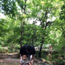 내미로 이미지