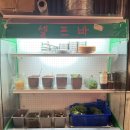 고봉가든 | 광주 우산동 고깃집 놋포숯불가든 : 생오겹살과 치즈 계란찜후기