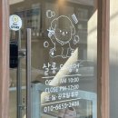 살롱드멍멍 이미지