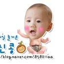 숲속의아침사과
