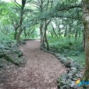 수희농장 이미지