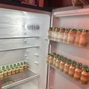 죽이야기삼산보람점 | 울산 삼산 이자카야, 울산 달동 술집 핫플 도쿄밤 안주맛집 도쿄밤