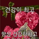 약이되는 음식 12 이미지