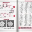 미생물의 책 47 내염성 효모와 호염성 유산 이미지