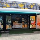 함평나비대축제 더 한국타임즈