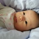 이쁜 똥강아지 이미지