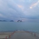 12월3주_24년 정리(+블로그 일기의 효과)