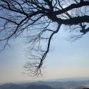 부여사랑마트 이미지