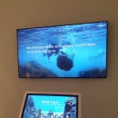 울릉(도동)민박 이미지