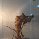 탄현면사무소 이미지