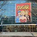 아트센터 2층 화장실 | 뮤지컬 슈가 솔라 엄기준 한전아트센터 2층 S석 내돈내산 관람 후기