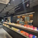 웰니스약국 이미지