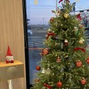 메디컬트리 | 두호동카페 카페추천 카페 존메디컬