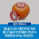앤시정보기술(주) 이미지