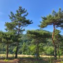 용대관광지2 이미지