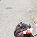 우락