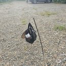 참새둥지야영장 이미지