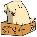 코지(COZY) 이미지