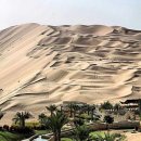 커피나라 이미지