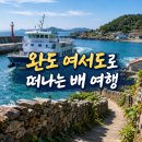 완도7호 | 완도 여서도 배편, 요금 시간표부터 물때까지 예약 전에 확인하세요