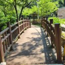 7월7일(화)청계산맑은숲길따라걷기 이미지