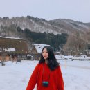 중부-현장-중부-792 | 나고야 근교 소도시 겨울 여행 시라카와고 버스투어 추천