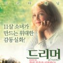 드리머 Daum카페