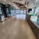 그루밍펫 이미지