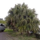 서호동-70 이미지