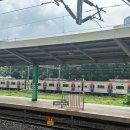 남대구고속주유소 | [2025 대구 여행기] 대구 찍먹 후기🍧 걸리버 막창, 몰러, 프랭크프랭크 등등